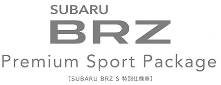 2013N10s XoBRZ Premium Sport Package